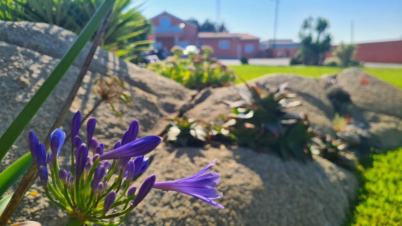 Вілла Hollidays Dreams Повуа-де-Варзін Екстер'єр фото