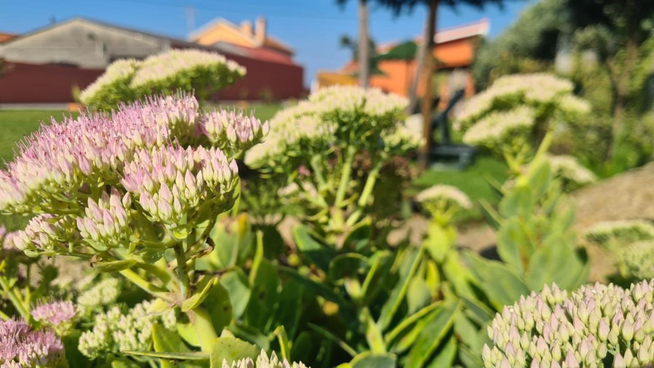 Вілла Hollidays Dreams Повуа-де-Варзін Екстер'єр фото